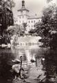 Březnice - zámek s labutěmi na rybníku [1963]