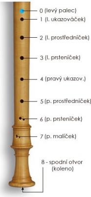 spodní díl zobcové flétny s vyznačením polohy prstů